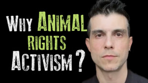 Why Being an Animal Rights Activist?