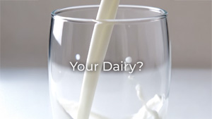 Your Dairy?